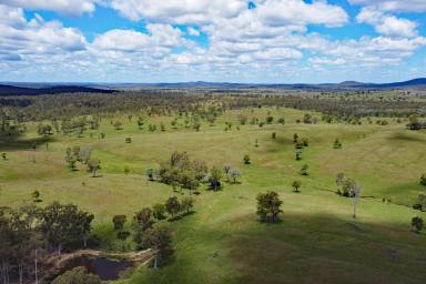 Other (Rural) For Sale - QLD - Beeron - 4626 - Central Burnett Grazing  (Image 2)