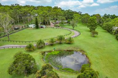 House For Sale - NSW - Brandy Hill - 2324 - 5.5 STUNNING ACRES, 3 PADDOCKS, TRANQUIL HOMESTEAD (Image 2)