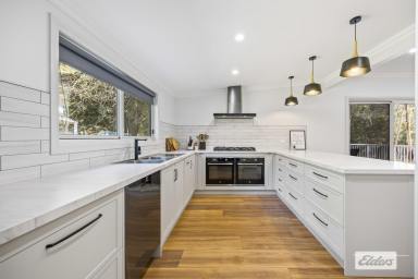 House For Sale - VIC - Halls Gap - 3381 - Where Quality Meets Functionality  (Image 2)