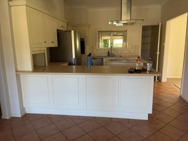 House For Lease - NSW - Willow Tree - 2339 - Charming Rural Retreat with Modern Comforts  (Image 2)