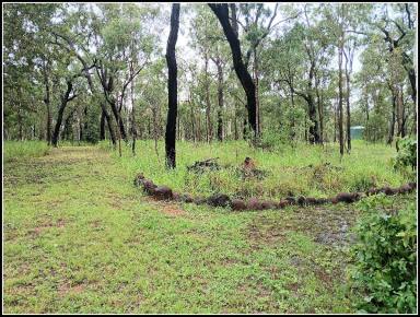 Residential Block For Sale - QLD - Millstream - 4888 - Looking over the Millstream to natures views.  (Image 2)