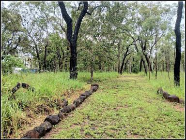 Residential Block For Sale - QLD - Millstream - 4888 - Looking over the Millstream to natures views.  (Image 2)