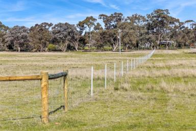 Residential Block For Sale - VIC - Goornong - 3557 - New land release - Rural Living Zoning - 28.6 acres  (Image 2)