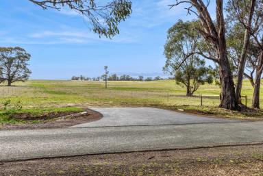 Residential Block For Sale - VIC - Goornong - 3557 - New land release - Rural Living Zoning - 28.6 acres  (Image 2)