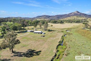 Acreage/Semi-rural For Sale - NSW - Tenterfield - 2372 - Rural Lifestyle Living.....  (Image 2)