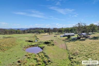 Acreage/Semi-rural For Sale - NSW - Tenterfield - 2372 - Rural Lifestyle Living.....  (Image 2)