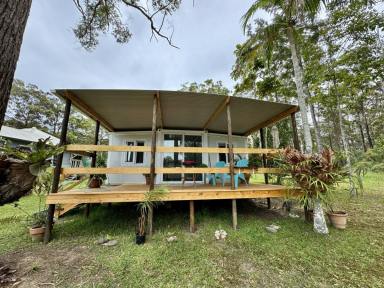 Unit For Lease - NSW - Old Bar - 2430 - Charming Studio Granny Flat for Rent - KOORAINGHAT  (Image 2)