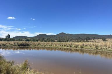 Other (Rural) For Sale - NSW - Lewis Ponds - 2800 - OPPORTUNITY TO OWN MIXED FARMING ON 60ACRES, 15 MINUTES FROM TOWN!  (Image 2)