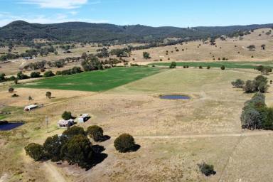 Other (Rural) For Sale - NSW - Lewis Ponds - 2800 - OPPORTUNITY TO OWN MIXED FARMING ON 60ACRES, 15 MINUTES FROM TOWN!  (Image 2)