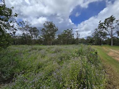 Residential Block For Sale - QLD - Mount Garnet - 4872 - Five Blocks of Land  (Image 2)
