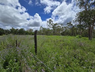 Residential Block For Sale - QLD - Mount Garnet - 4872 - Five Blocks of Land - Tender Offers Due 7th March  (Image 2)