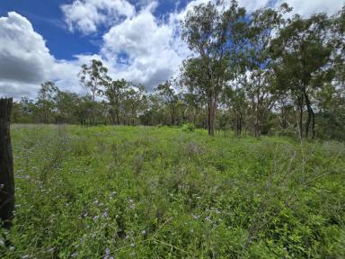 Residential Block For Sale - QLD - Mount Garnet - 4872 - Five Blocks of Land  (Image 2)