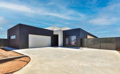 House For Sale - NSW - Gol Gol - 2738 - Just Magnificent!  (Image 2)