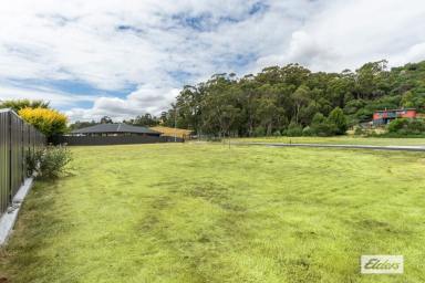 Residential Block For Sale - TAS - West Ulverstone - 7315 - READY TO BUILD?  (Image 2)