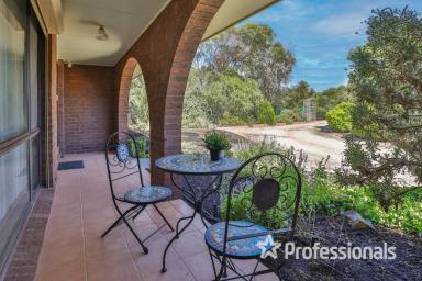 House Auction - VIC - Irymple - 3498 - Rural Lifestyle Retreat - on 3880m2  (Image 2)