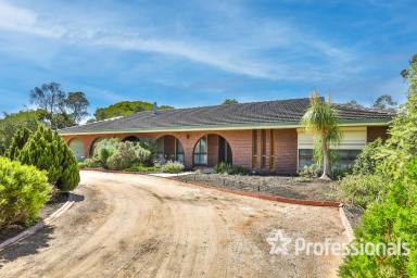 House Auction - VIC - Irymple - 3498 - Rural Lifestyle Retreat - on 3880m2  (Image 2)