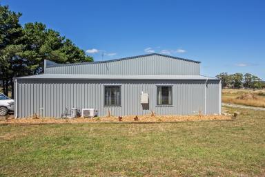 Warehouse For Sale - TAS - Smithton - 7330 - Workshop & Storeroom & Option to Buy Extra Adjoining Industrial Blocks 




  Excellent Investment! with Office & 
  Amenities area.  (Image 2)