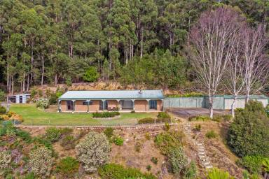 House For Sale - TAS - Penguin - 7316 - Breathtaking Views & Sheds Galore!  (Image 2)