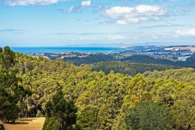 House For Sale - TAS - Penguin - 7316 - Breathtaking Views & Sheds Galore!  (Image 2)