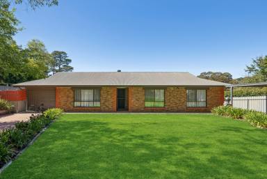 House For Sale - SA - Littlehampton - 5250 - Ready to unpack and relax!  (Image 2)