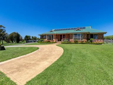 House For Sale - NSW - Candelo - 2550 - NORTH FACING WITH STUNNING VIEWS  (Image 2)