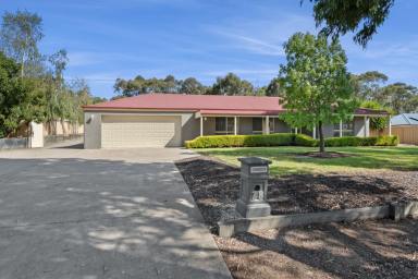 House For Sale - VIC - Maiden Gully - 3551 - Spacious Family Home with Exceptional Entertaining & Shedding  (Image 2)