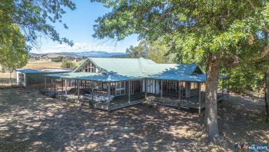 Lifestyle For Sale - VIC - Mudgegonga - 3737 - Opportunity Knocks: Finish Your Dream Home on 3.5 Acres in Mudgegonga (STCA)  (Image 2)