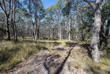 Residential Block For Sale - VIC - Staffordshire Reef - 3351 - Picturesque Acreage – Natural Bush Setting  (Image 2)