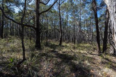 Residential Block For Sale - VIC - Staffordshire Reef - 3351 - Picturesque Acreage – Natural Bush Setting  (Image 2)