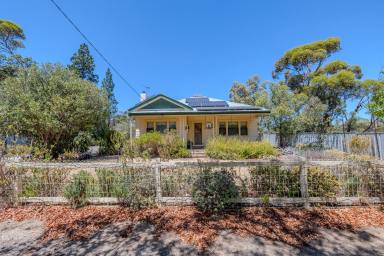 House For Sale - VIC - Walpeup - 3507 - Charming Weatherboard Home on Half an Acre  (Image 2)