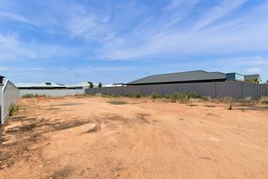 Residential Block For Sale - VIC - Irymple - 3498 - Build the dream!  (Image 2)