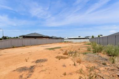 Residential Block For Sale - VIC - Irymple - 3498 - Build the dream!  (Image 2)