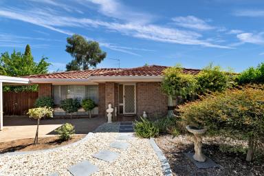 House For Sale - VIC - Mildura - 3500 - Remarkable Opportunity  (Image 2)