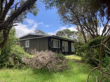 House For Sale - VIC - Sandy Point - 3959 - Beach shack in brilliant location  (Image 2)