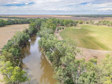 Mixed Farming For Sale - NSW - Gin Gin - 2823 - An irrigated and dryland cropping property on the banks of the Macquarie River  (Image 2)