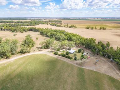 Mixed Farming For Sale - NSW - Gin Gin - 2823 - An irrigated and dryland cropping property on the banks of the Macquarie River  (Image 2)