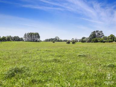 Lifestyle For Sale - NSW - Robertson - 2577 - 2 Separate Titles - Productive Grazing Land  (Image 2)