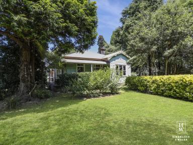 Lifestyle For Sale - NSW - Robertson - 2577 - 2 Separate Titles - Selling Together OR Separately  (Image 2)