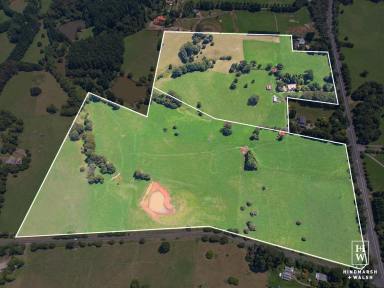 Lifestyle For Sale - NSW - Robertson - 2577 - 2 Separate Titles - Selling Together OR Separately  (Image 2)
