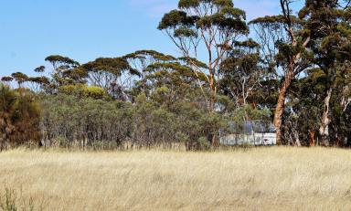 Other (Rural) For Sale - WA - Dumbleyung - 6350 - Country Retreat  (Image 2)