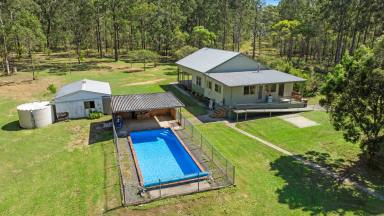 House For Lease - NSW - Glenugie - 2460 - PRIVATE FARM HOUSE CLOSE TO THE COAST  (Image 2)