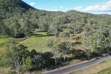 Residential Block For Sale - QLD - Black Snake - 4600 - YOUR PERFECT RURAL ESCAPE!  (Image 2)
