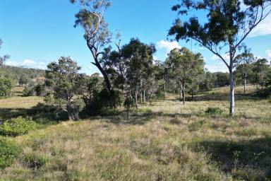 Residential Block For Sale - QLD - Black Snake - 4600 - YOUR PERFECT RURAL ESCAPE!  (Image 2)