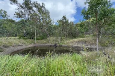 Residential Block For Sale - QLD - Black Snake - 4600 - 120 Acres of Serenity – Your Perfect Rural Escape!  (Image 2)