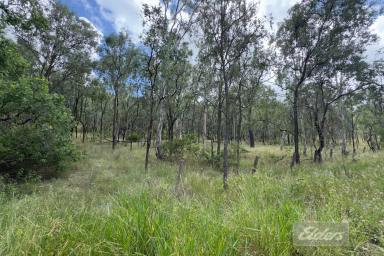 Residential Block For Sale - QLD - Black Snake - 4600 - 120 Acres of Serenity – Your Perfect Rural Escape!  (Image 2)