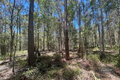 Residential Block For Sale - QLD - Downsfield - 4570 - ESCAPE THE CITY - YOUR COUNTRY PARADISE AWAITS!  (Image 2)