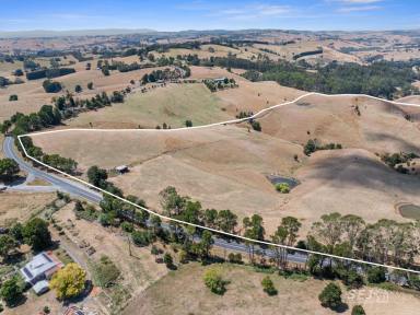 Other (Rural) For Sale - VIC - Ranceby - 3951 - Grazing block - close to town  (Image 2)