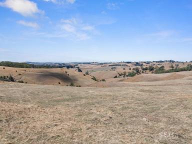 Other (Rural) For Sale - VIC - Ranceby - 3951 - Grazing block - close to town  (Image 2)