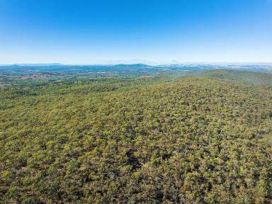 Lifestyle For Sale - VIC - Heathcote - 3523 - 443 ACRE BUSH BLOCK IN HEATHCOTE - A GOLDEN OPPORTUNITY  (Image 2)