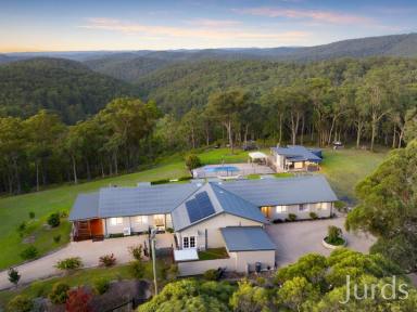 Lifestyle Sold - NSW - Bucketty - 2250 - A Substantial Country Retreat Amidst Breathtaking Landscapes  (Image 2)